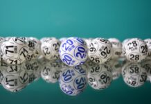 Top 3 reguli pentru a reuși la bingo online Top 3 reguli pentru a reuși la bingo online
