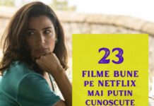 23 Filme bune Netflix mai puțin cunoscute filme bune netflix putin cusnoscute