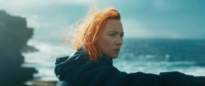 saoirse ronan 408109294_734865845348575_7459153572949508427_n saoirse ronan 408109294_734865845348575_7459153572949508427_n