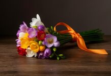 Istoria interesantă a freziilor: de la descoperire la popularitate istoriainteresantaafreziilordeladescoperirelapopularitate