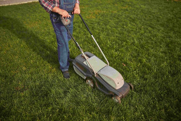 Avantajele unui aerator profesional pentru gazon