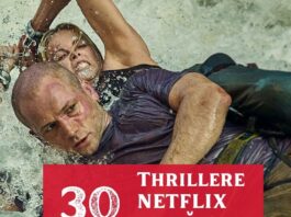 thrillere netflix de vazut (2)
