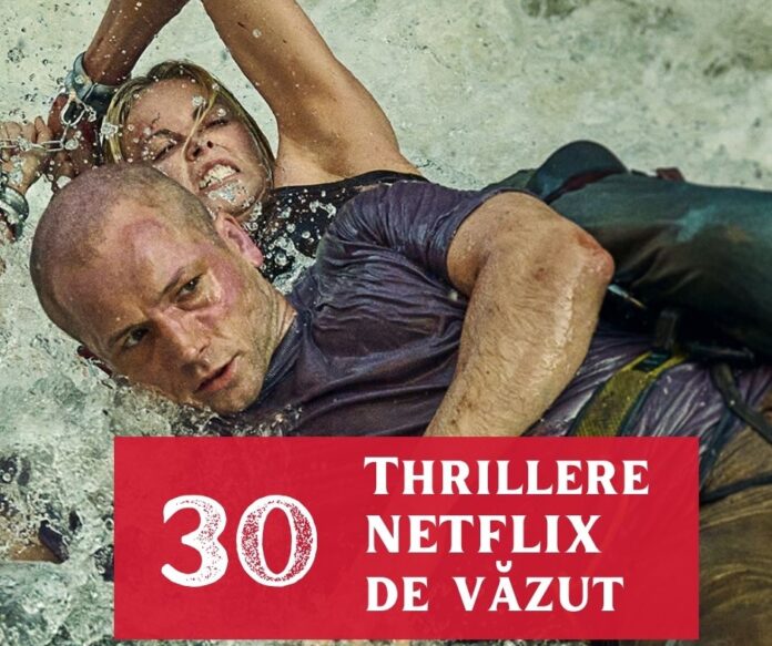 thrillere netflix de vazut (2)