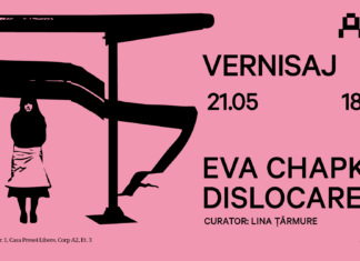 Eva Chapkin_format_Arsmonitor_Dislocare
