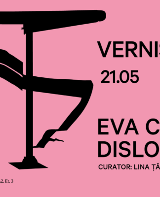 Eva Chapkin_format_Arsmonitor_Dislocare