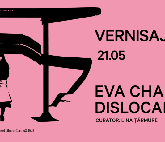 Eva Chapkin_format_Arsmonitor_Dislocare